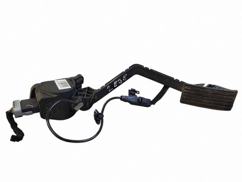 Citroen 2010 acceleratore - 2010,
