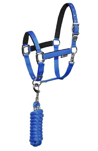 Equestro capezza cavezza - equestro,