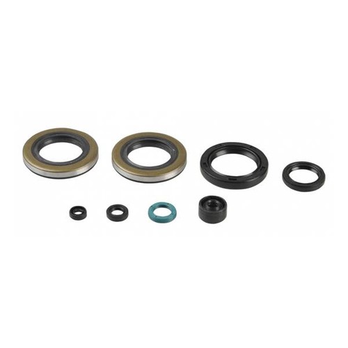 Kit paraoli serie motore - kit,