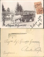 BOLOGNA MESTIERI CONTADINO CON