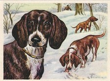 26/679 QUADRO DA COLLEZIONE CANE - LA STAFFA DEL TETTO