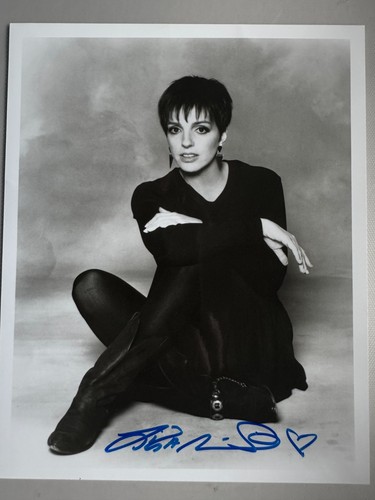 Liza minnelli film - minnelli,