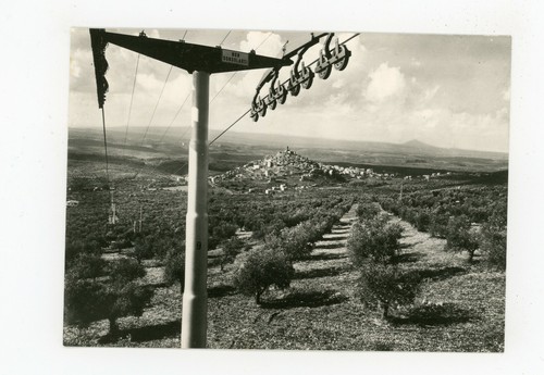 Cartolina palombara sabina - -,