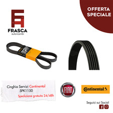 Cinghia servizi poly - cinghia, poly-v