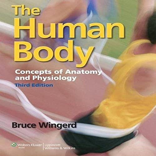 The human body - the, concepts