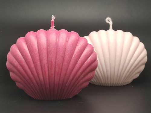 Candele conchiglia - candele,