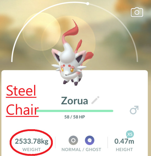 Sedia acciaio zorua - sedia,