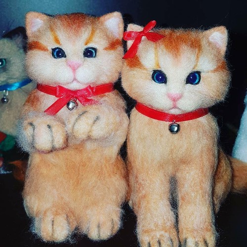 Regalo amante del gatto - , in