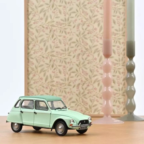 Citroen dyane 1983 - citroen, 6