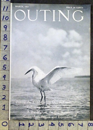 1921 heron nautical - heron, shorebird