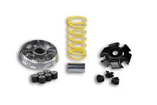 5111875 Variatore Multivar