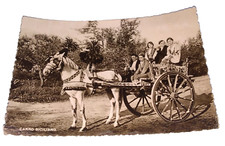 vecchia CARTOLINA SICILIA CARRETTO SICILIANO - anni 50 / 60