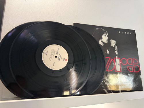 The doors concert - the,