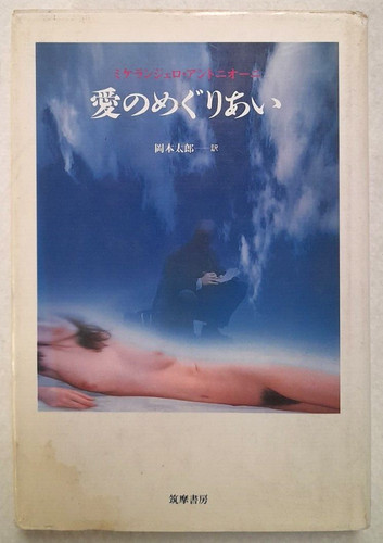 Libro michelangelo antonioni - michelangelo,