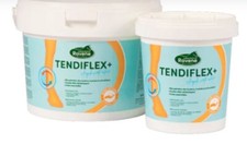 Argile RAVENE "Tendiflex +"