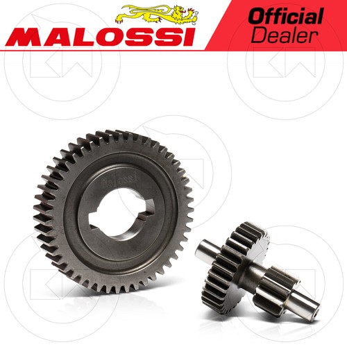 Malossi 6719289 ingranaggi - 6719289,