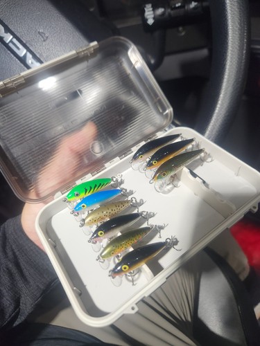 Design minnow - c&f,