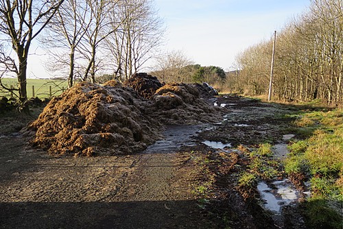 Photo 6x4 through road - no,