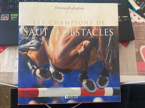 Champions salto ostacoli - i,