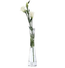 VASANA Vaso da fiori in vetro