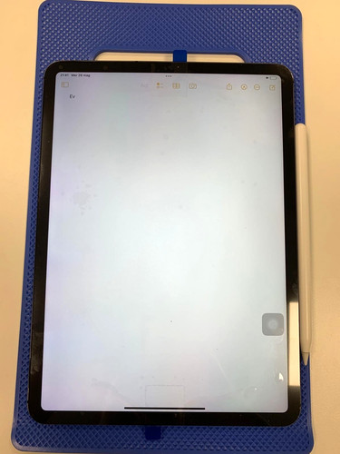 Display originale ipad pro - ipad,