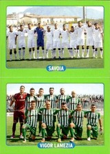 figurina Panini Calciatori