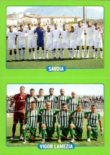 Figurina panini calciatori - figurina,