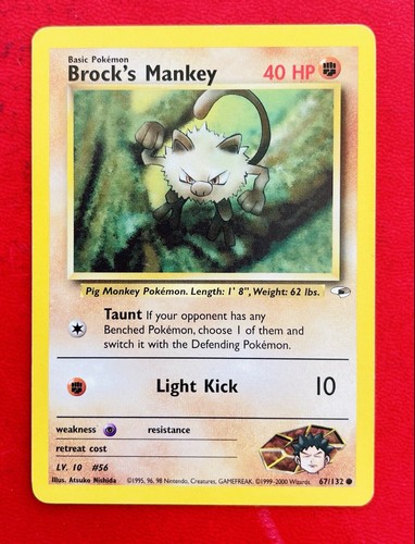 Lotto carte pokemon - lotto, brock’s