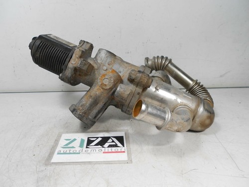 Radiatore valvola egr - +,