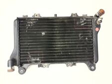 RADIATORE LIQUIDO ORIGINALE