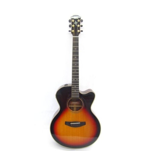 Chitarra acustica elettrica