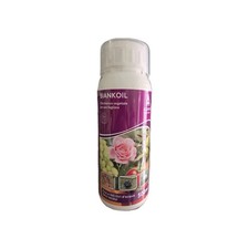 Olio Bianco vegetale