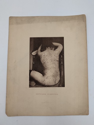 Antica stampa fotografica