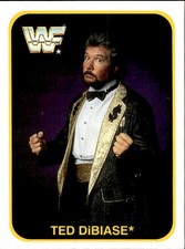 card wwf wrestling merlin 1991
