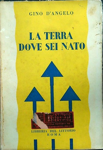 Terra dove sei - terra,