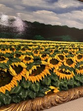 Massimo Meda : I Girasoli