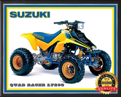 Suzuki quad racer lt250 - suzuki,