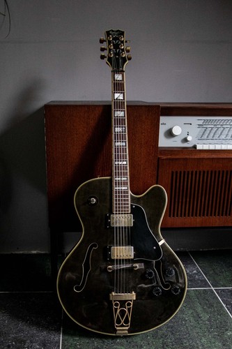 Chitarra jazz anni samick - anni,