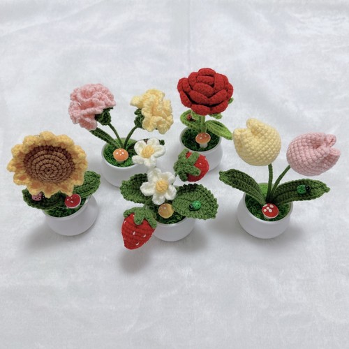 Mini piante fiore fatte - da,