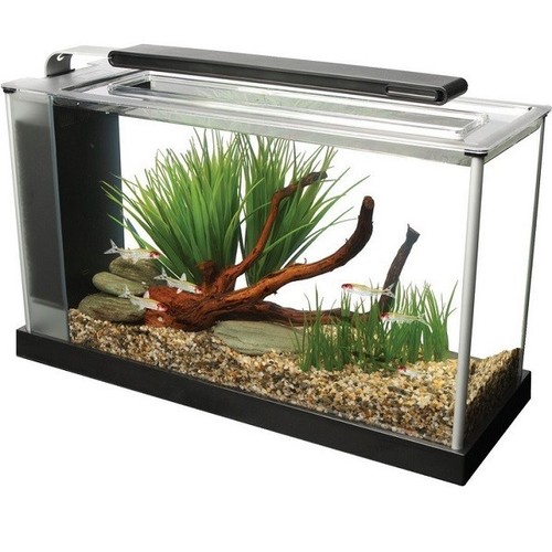 Fluval spec acquario 10l - spec, 19l