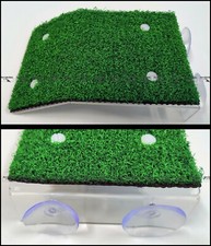 Penisola con ventose e prato