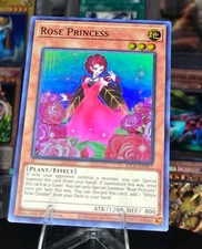 Rose Princess KICO-EN017 Corte