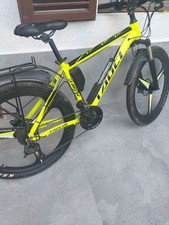 bicicletta elettrica