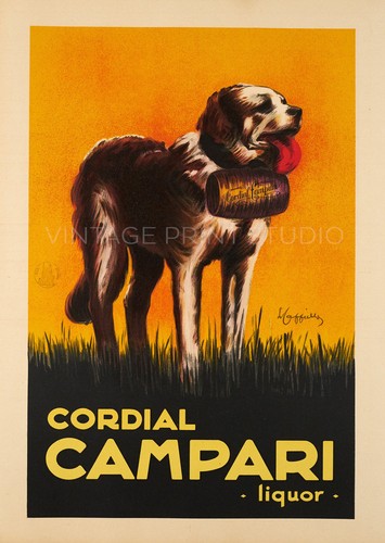 Campari liquore cappiello - campari,