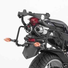 STAFFE PORTAPACCHI Con Piastra