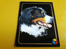 TRADING CARD Serie AMICI DEL CUORE Ed.TH&LP (1993) n°158 BOVARO DEL BERNESE