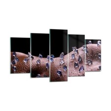 Quadro su Vetro 160x85cm Corpo