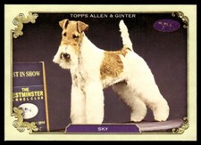 SKY 2024 Topps Allen & Ginter