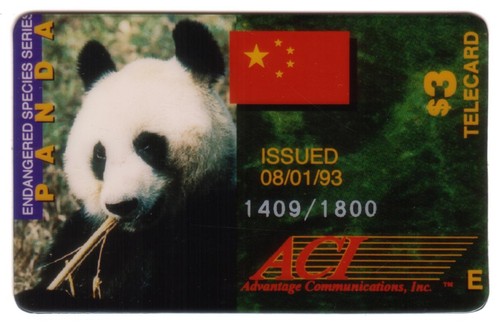 Panda gigante endangered - panda,