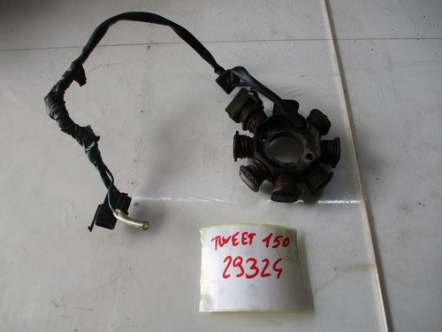 Statore magnete campo - statore,